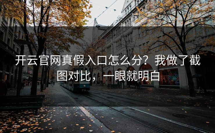 开云官网真假入口怎么分?我做了截图对比,一眼就明白 开云官网真假入口怎么分?我做了截图对比,一眼就明白
